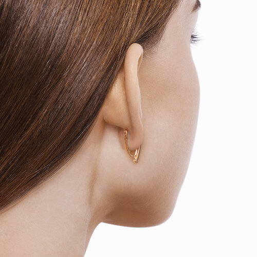 Серьги 1021003 Серьги 1021003