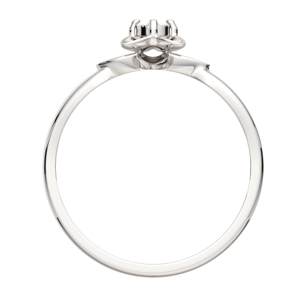 Кольцо 02D0077.ZZ