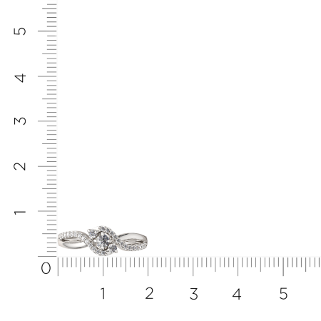 Кольцо 0210639.ZZ