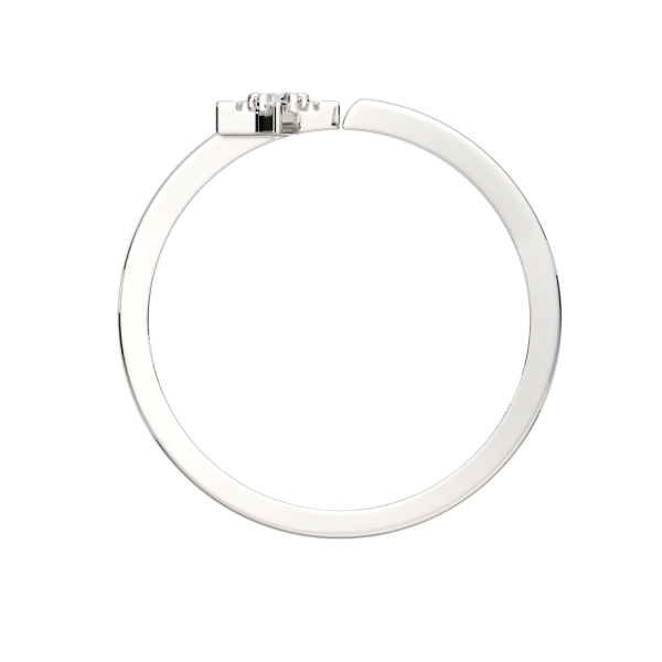 Кольцо 0210666.ZZ