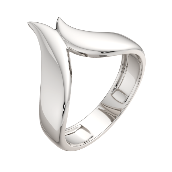 Кольцо 0200193.ZZ Кольцо 0200193.ZZ