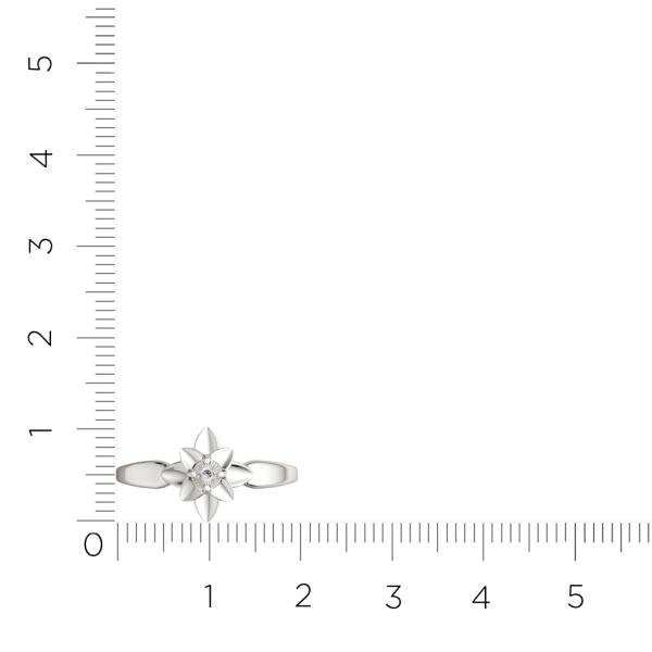 Кольцо 02D0077.ZZ