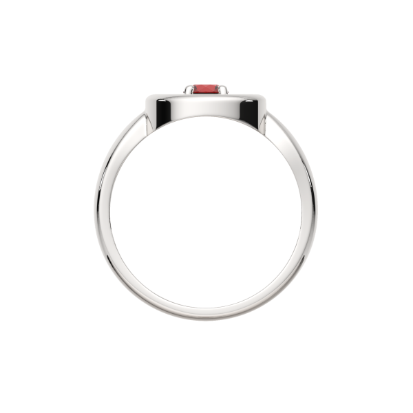 Кольцо 02101913.ZZ