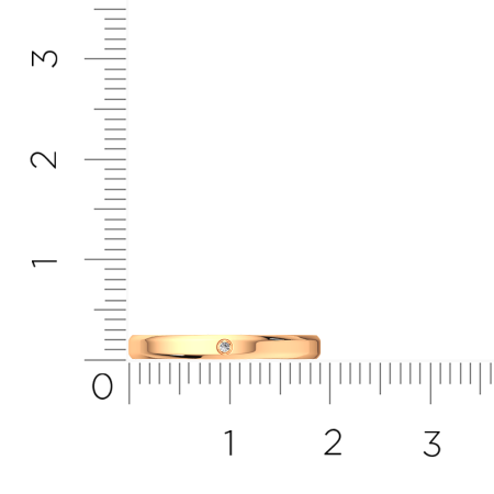 Кольцо обр. 1D30123.14K.R