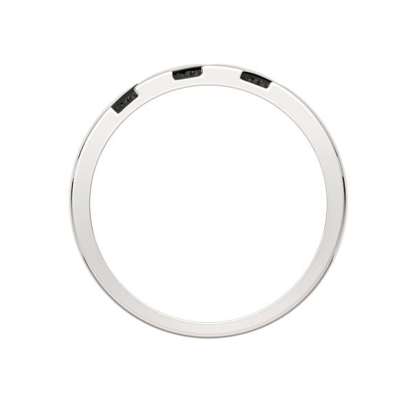 Кольцо 02101201.ZZ