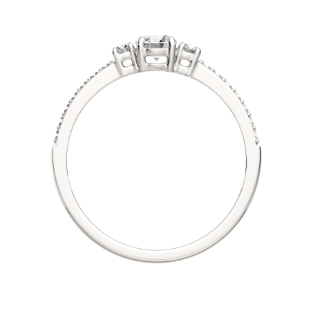 Кольцо 02101023.ZZ