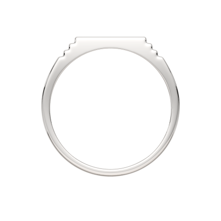 Кольцо 0200389.ZZ