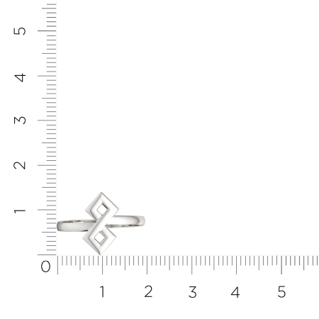 Кольцо 0200156.ZZ