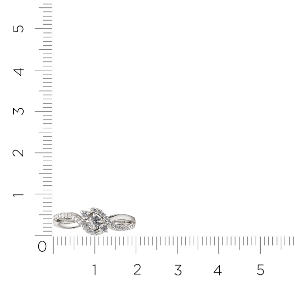 Кольцо 0210639.ZZ