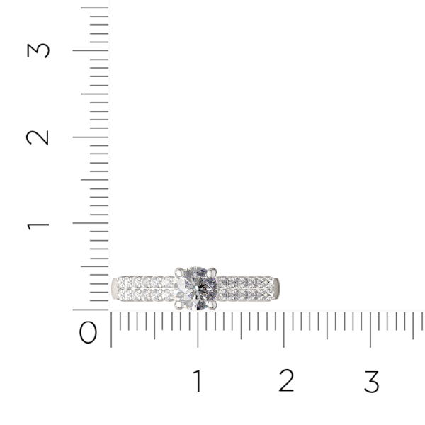 Кольцо 02101062.ZZ Кольцо 02101062.ZZ