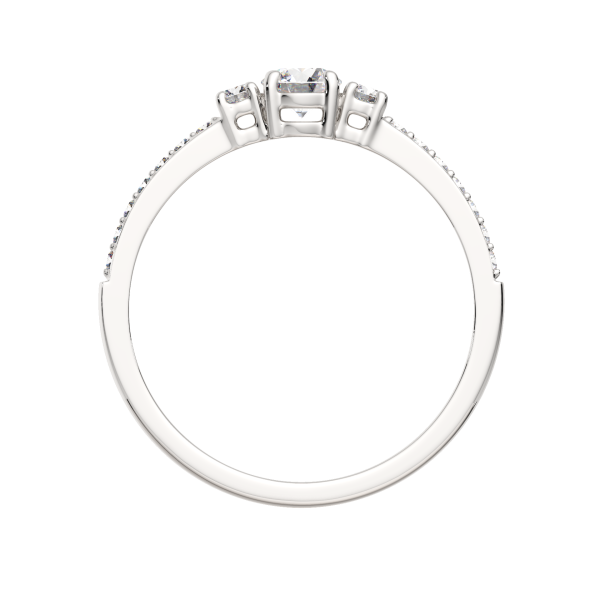 Кольцо 02101023.ZZ