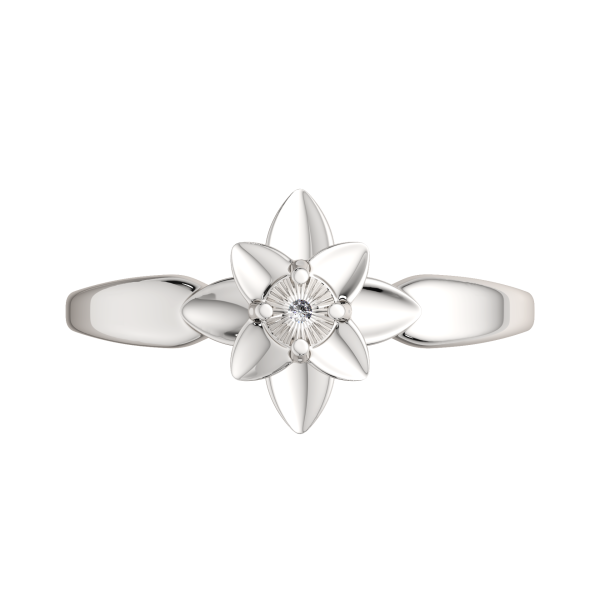 Кольцо 02D0077.ZZ