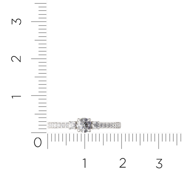 Кольцо 02101023.ZZ Кольцо 02101023.ZZ