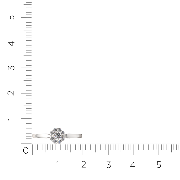 Кольцо 0210776.ZZ