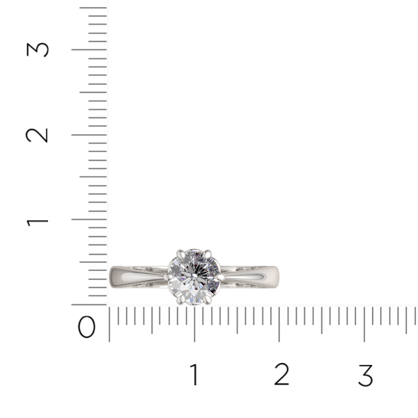 Кольцо 0210891.ZZ Кольцо 0210891.ZZ