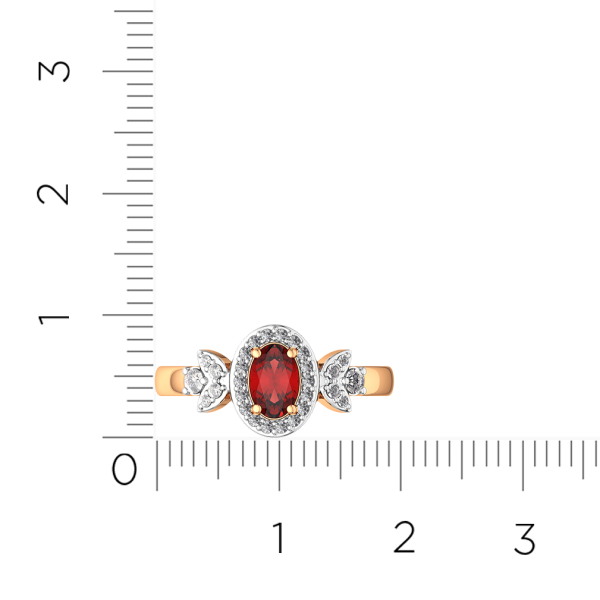 Кольцо 2S50243.14K.R.ZZ