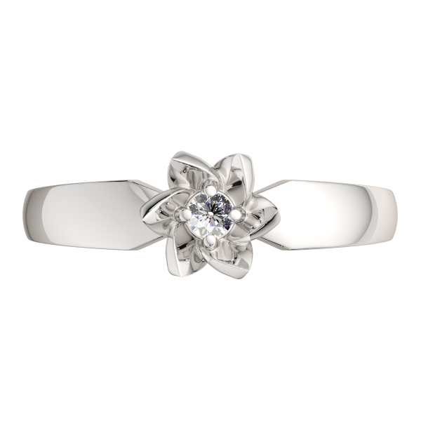 Кольцо 0210838.ZZ