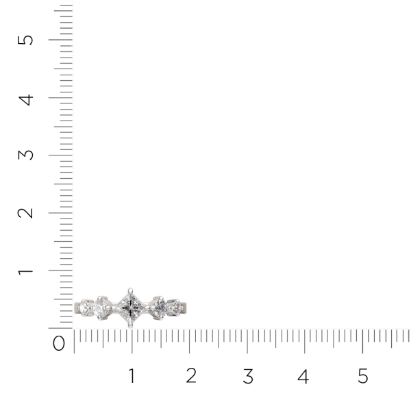 Кольцо 0210771.ZZ