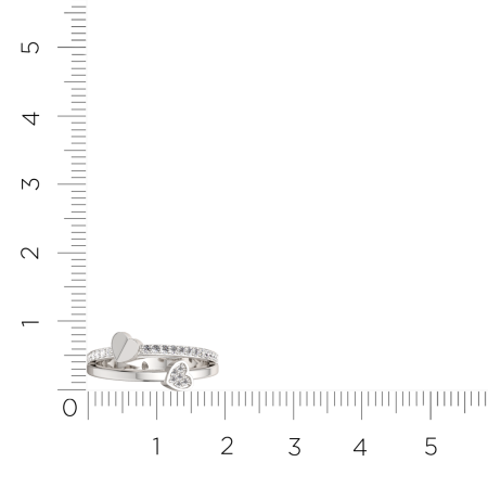 Кольцо 0210762.ZZ