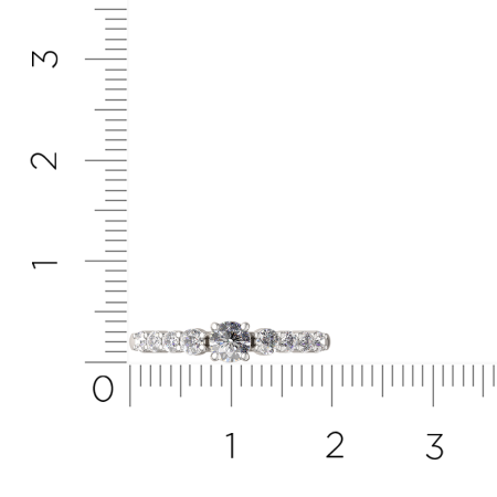 Кольцо 02101022.ZZ Кольцо 02101022.ZZ