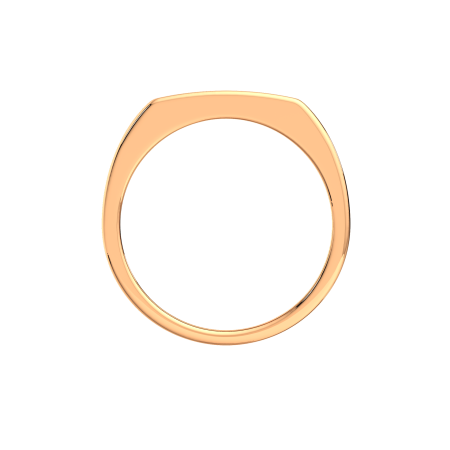 Кольцо 2101315.14K.R.ZZ