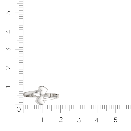 Кольцо 0200113.ZZ Кольцо 0200113.ZZ