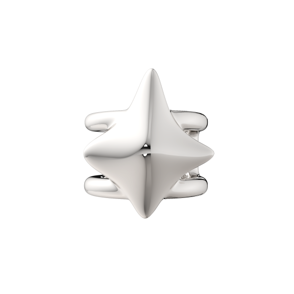 Серьга 0300173.ZZ Серьга 0300173.ZZ