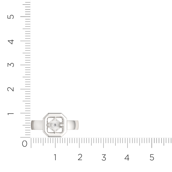 Кольцо 02D0079.ZZ