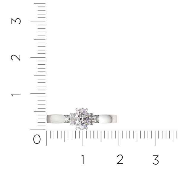 Кольцо 0210696.ZZ