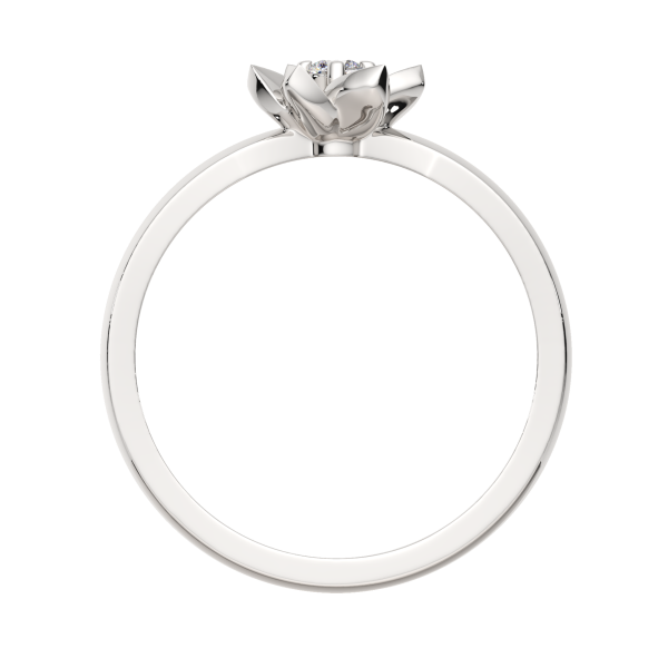 Кольцо 0210838.ZZ Кольцо 0210838.ZZ