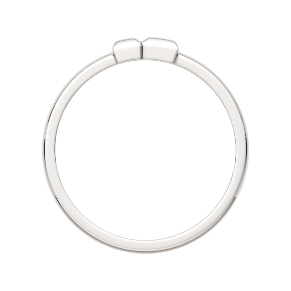 Кольцо 0200291.ZZ