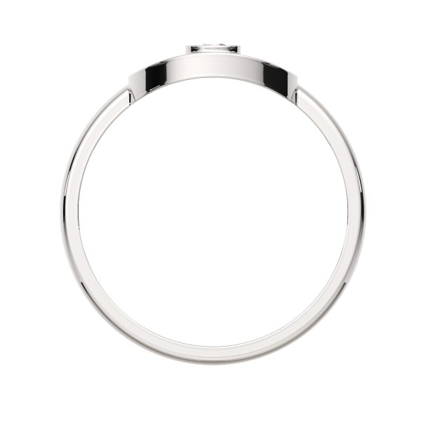 Кольцо 02101066.ZZ Кольцо 02101066.ZZ