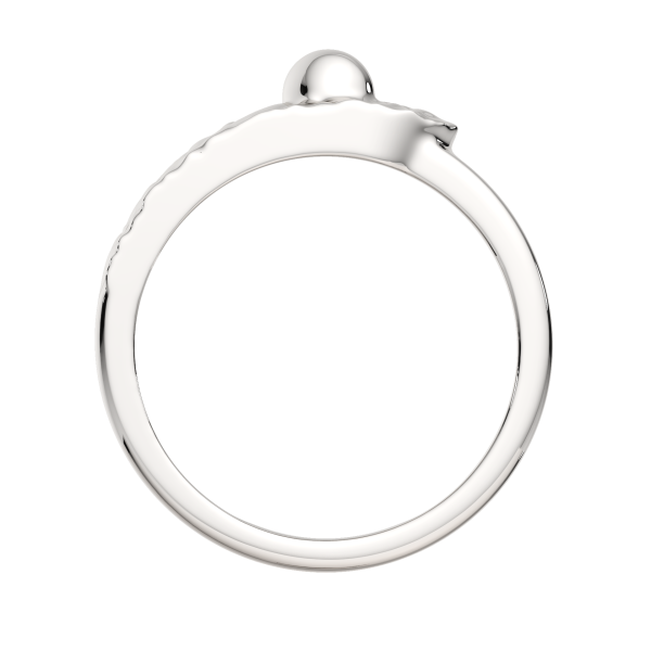 Кольцо 0200256.ZZ