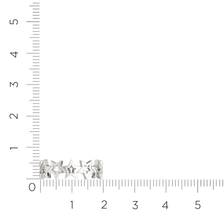 Кольцо 0200132.ZZ
