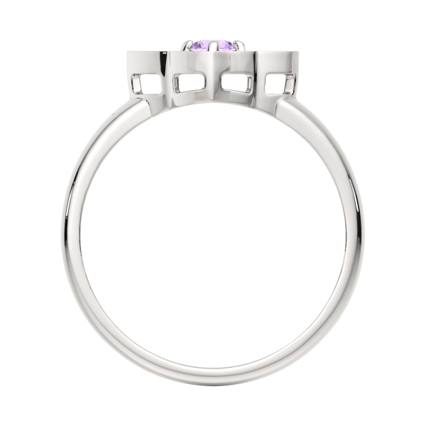 Кольцо 02S60102.ZZ