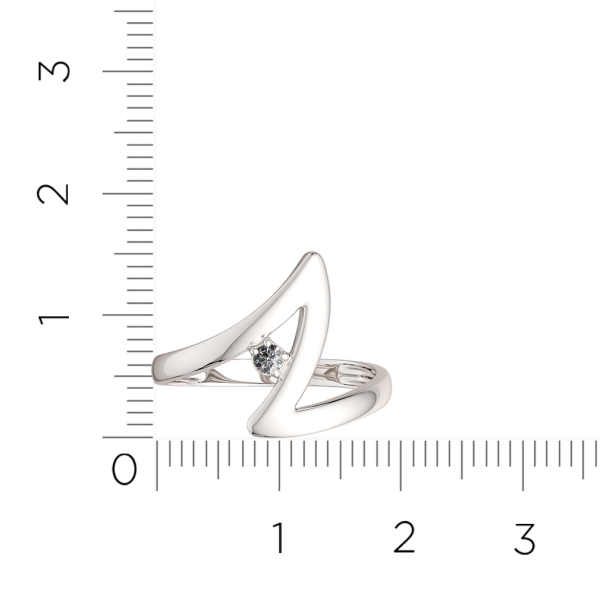 Кольцо 02101136.ZZ