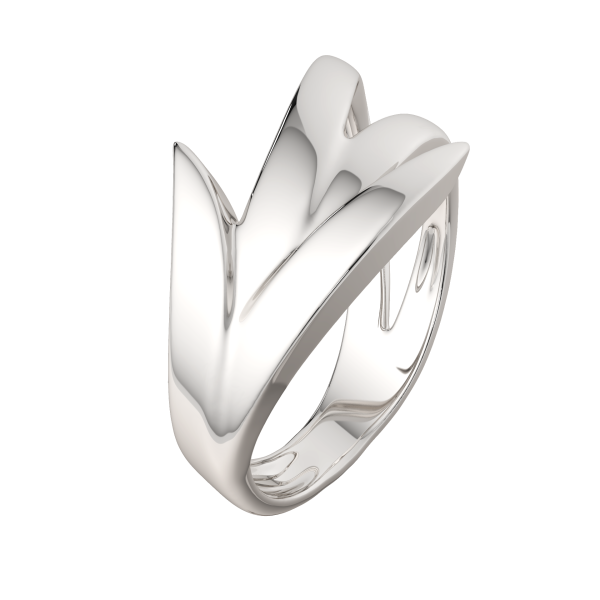 Кольцо 0200211.ZZ Кольцо 0200211.ZZ