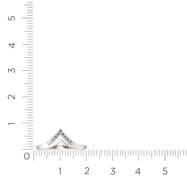 Кольцо 0210439.ZZ
