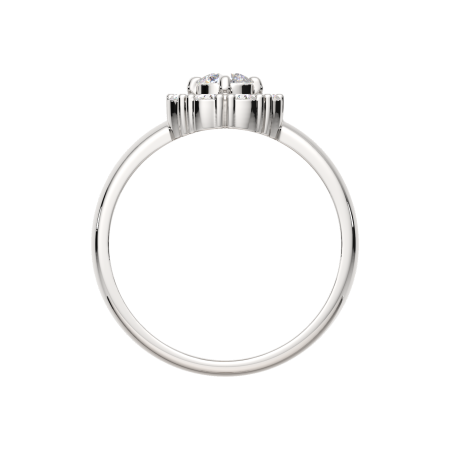 Кольцо 02101702.ZZ