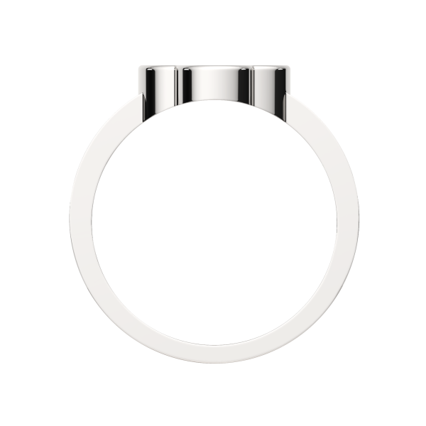 Кольцо 02101540.ZZ