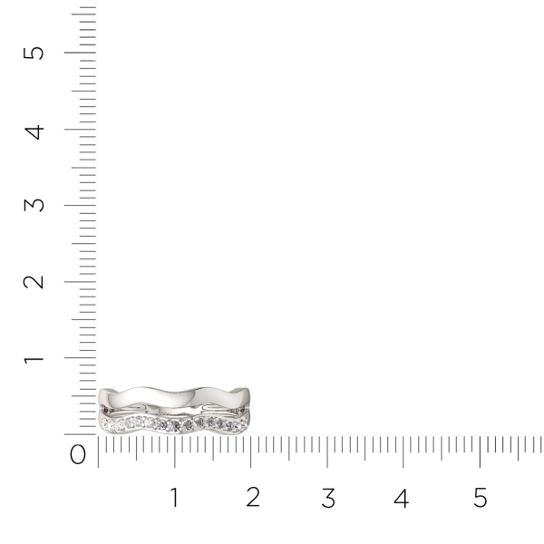 Кольцо 0210531.ZZ