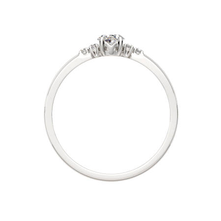 Кольцо 0210696.ZZ