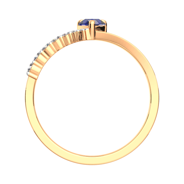 Кольцо 2D10130.14K.R.ZZ Кольцо 2D10130.14K.R.ZZ