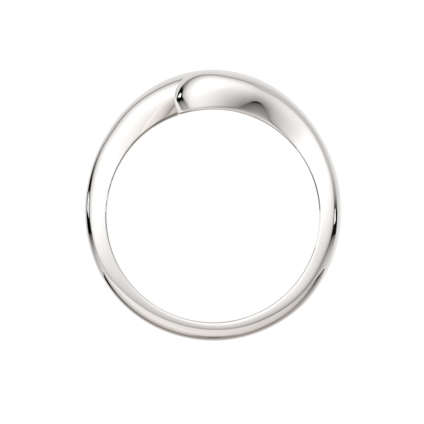 Кольцо 0200377.ZZ