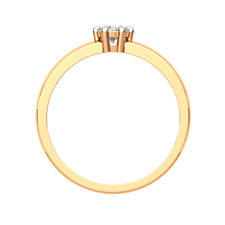 Кольцо 2101197.14K.R.ZZ