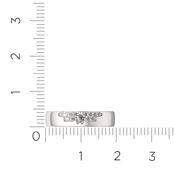 Кольцо 0210951.ZZ