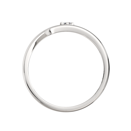 Кольцо 02101136.ZZ