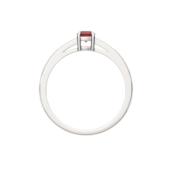 Кольцо 02S5040.ZZ