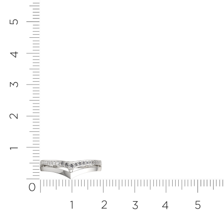 Кольцо 0210553.ZZ