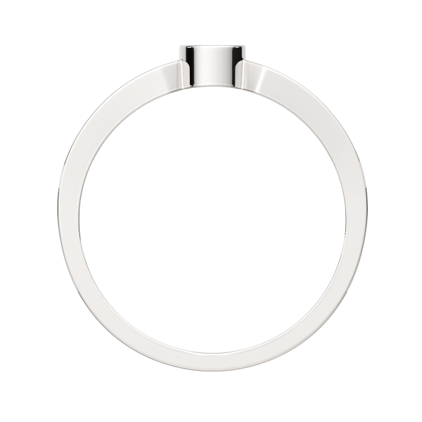 Кольцо 0210834.ZZ